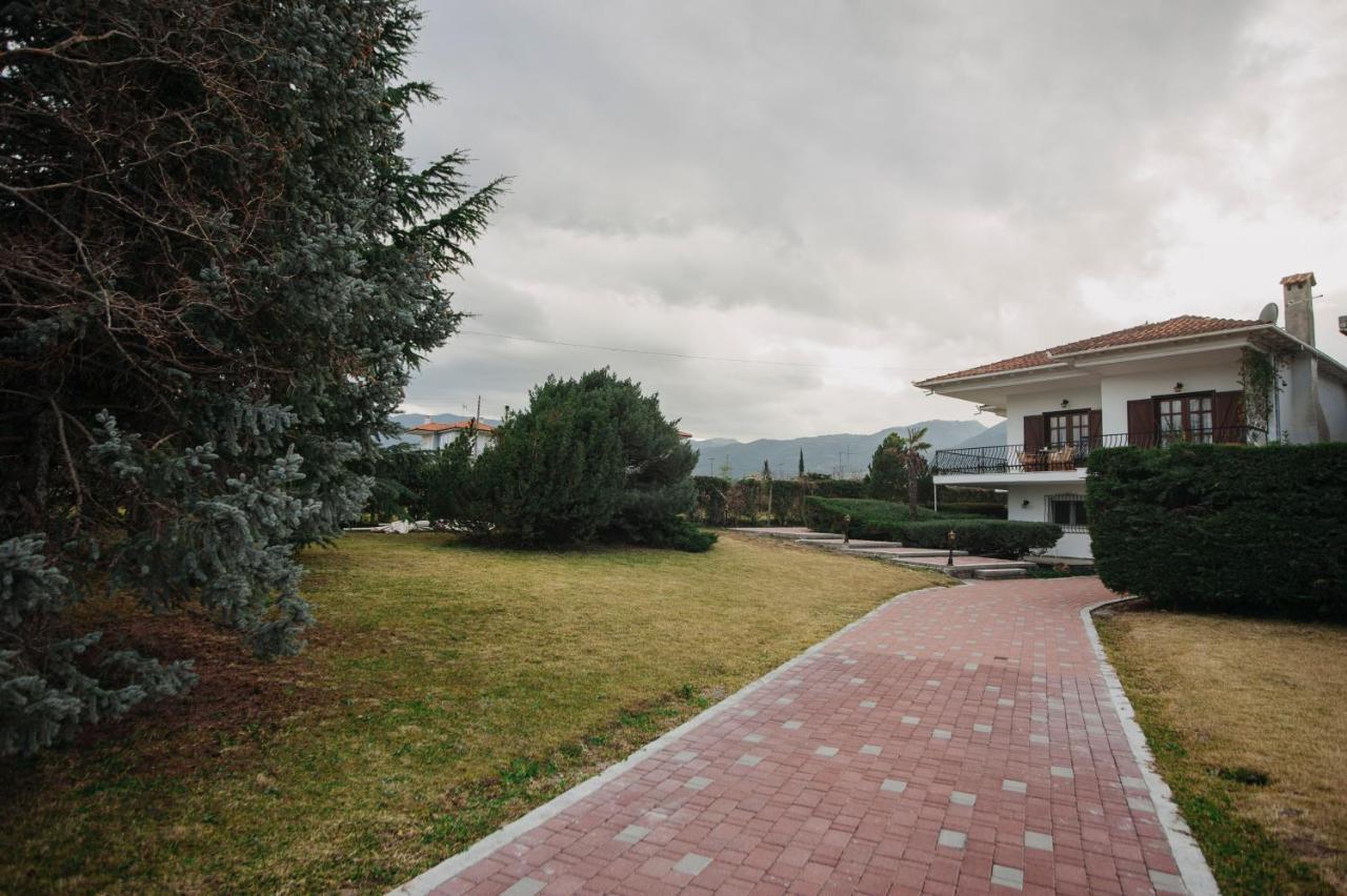 Villa Mythic House à Leptokaryá Extérieur photo